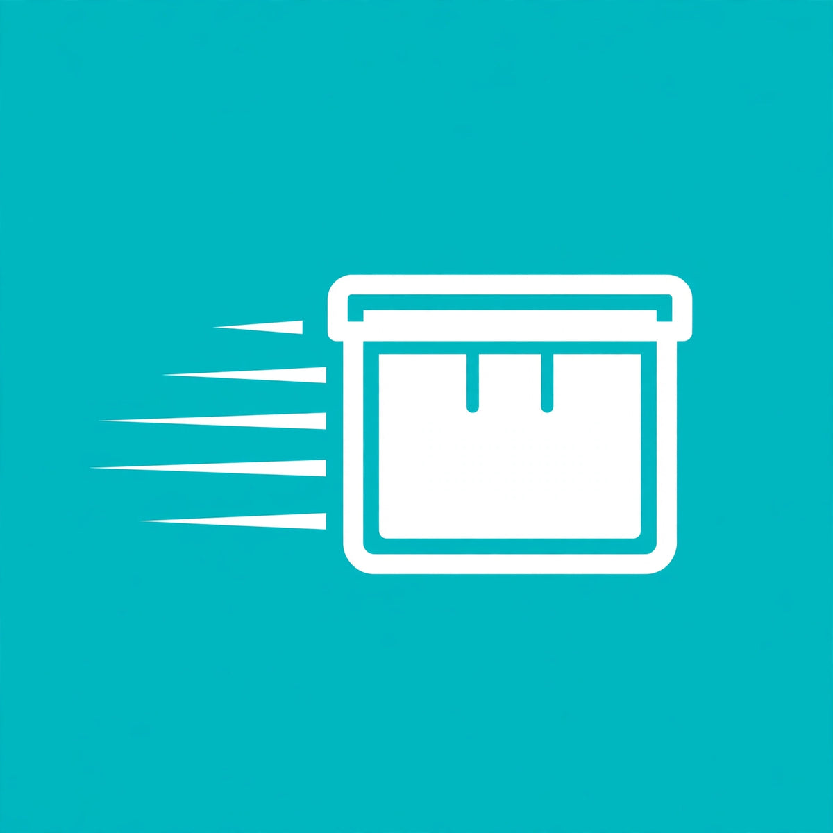 Step 3 Fast delivery icon